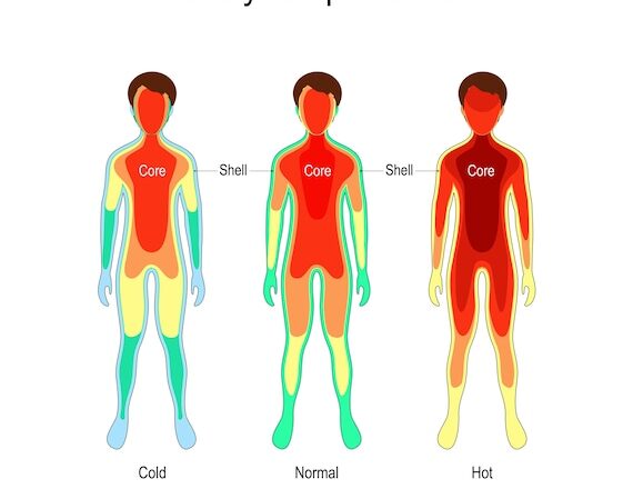 Cosa succede al nostro corpo quando c’è troppo caldo? Gli effetti del caldo estremo