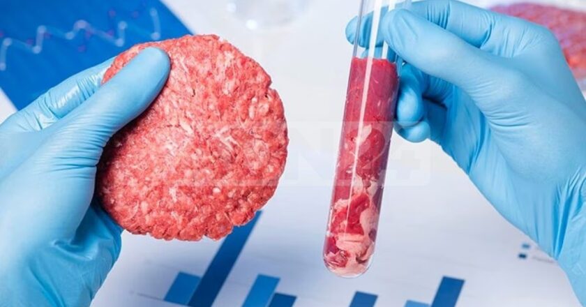 Anche gli Stati Uniti iniziano a vietare la carne coltivata