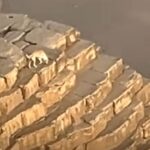 SAI CHE… Un cane scalatore conquista la Grande Piramide di Giza?