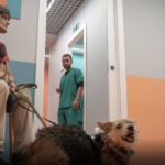 SAI CHE… A Roma esiste il primo ambulatorio veterinario sociale?