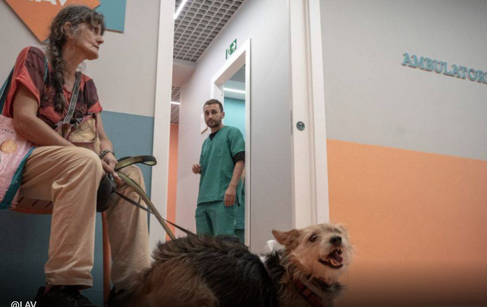 SAI CHE… A Roma esiste il primo ambulatorio veterinario sociale?