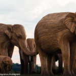 SAI CHE… Cos’è Great Elephant Migration?