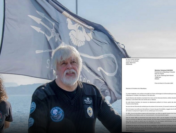 SAI CHE… Paul Watson è finito in carcere per aver difeso le balene?