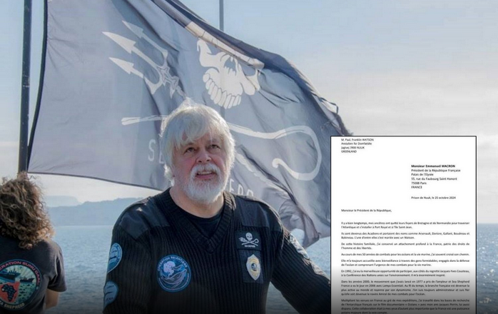 SAI CHE… Paul Watson è finito in carcere per aver difeso le balene?