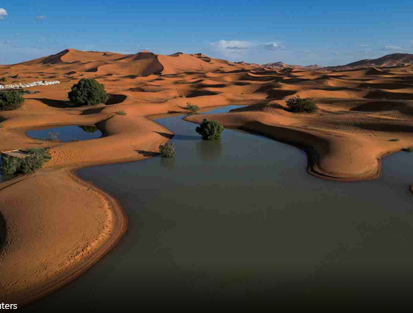 SAI CHE… Il deserto del Sahara allagato è un fenomeno raro ma allarmante?