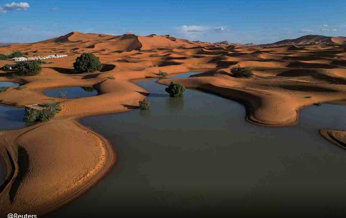 SAI CHE… Il deserto del Sahara allagato è un fenomeno raro ma allarmante?