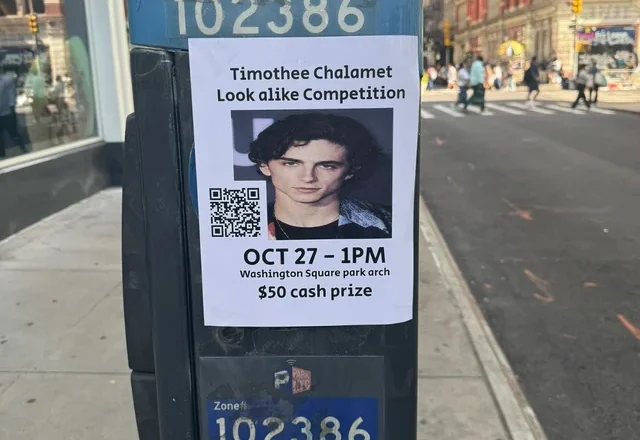 Contest a New York finalizzato a scovare i sosia del divo Timothée Chalamet