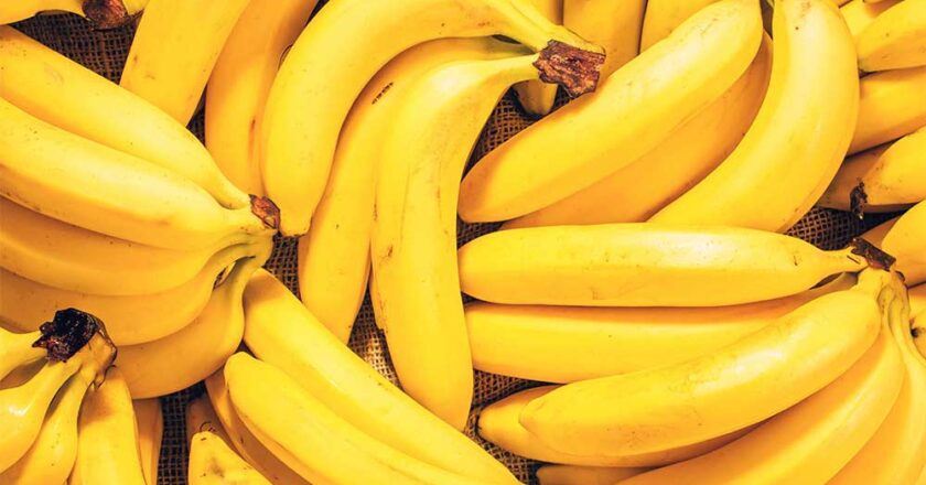 Perché le banane non hanno semi?