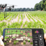 L’alleanza necessaria tra Agritech e intelligenza collettiva